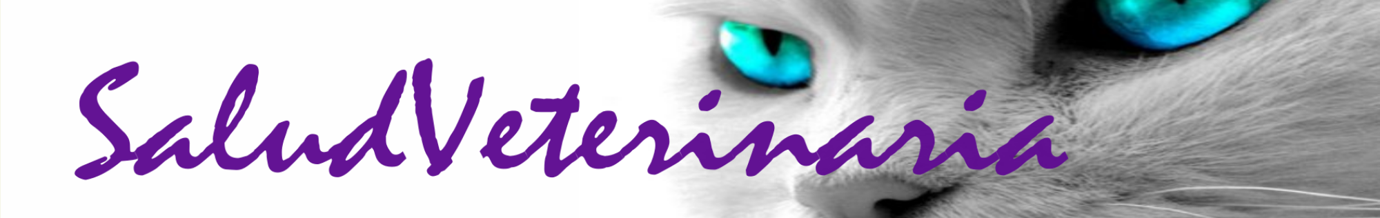 SaludVeterinaria